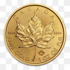 Gold Silver - 1 Oz Maple Leaf Coin png