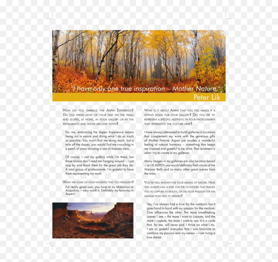 Aspen Editorial Layouts U2013 Ylice Golden - Tree Png,Aspen Tree Png