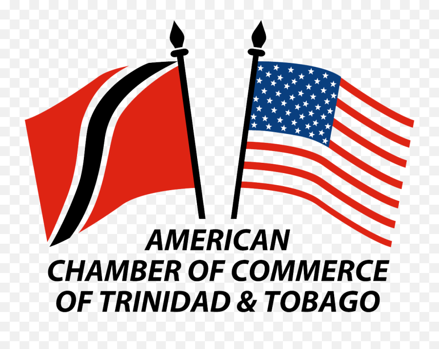 Our Client Experience Ample - Amcham Trinidad Png,Trinidad Flag Png