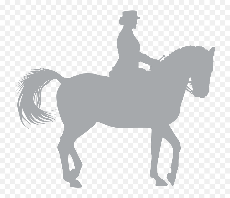 Prodotti - Amerigosaddles Png,Horse Rider Icon