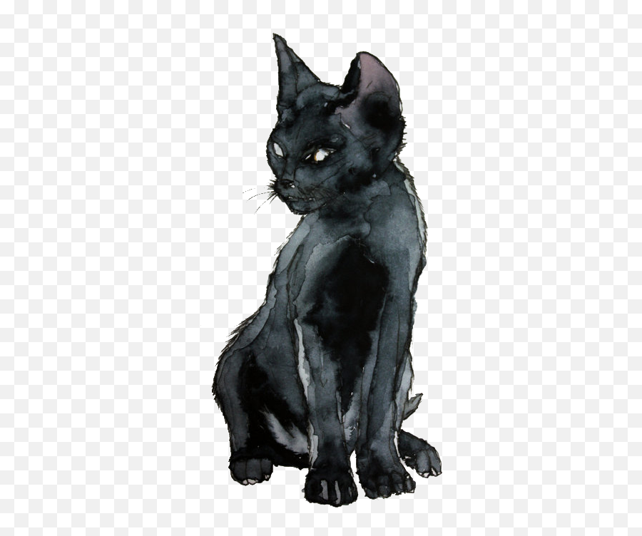 Black Cat Drawing Png - Black Cat Watercolor,Black Cat Png