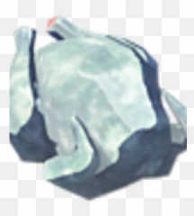 Frozen Whole Bird Zeldapedia Fandom Png Vegetable Icon