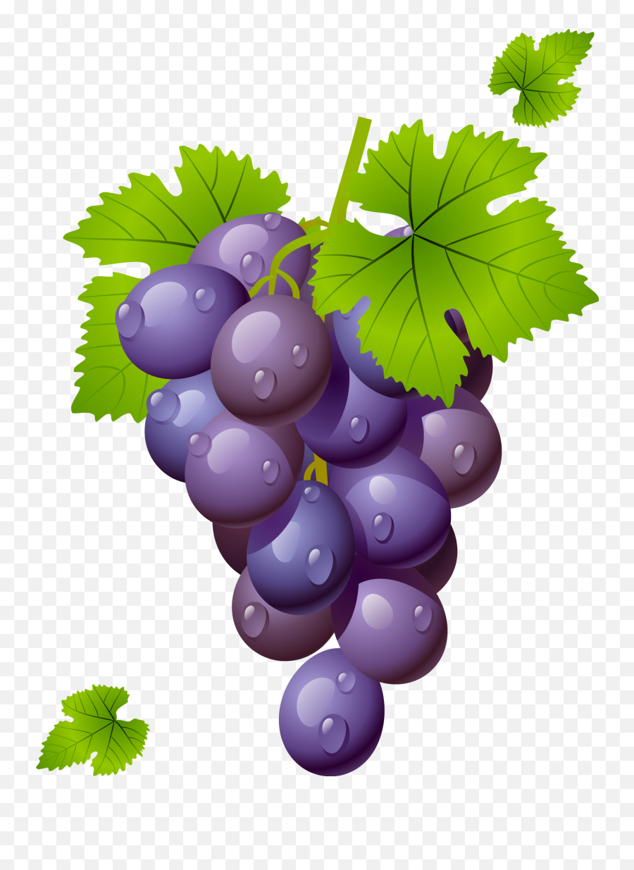 Grape Png Transparent Images - Grapes Clipart Png,Grapes Png