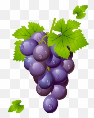 Grape Png Transparent Images - Grapes Clipart Png,Grapes Png