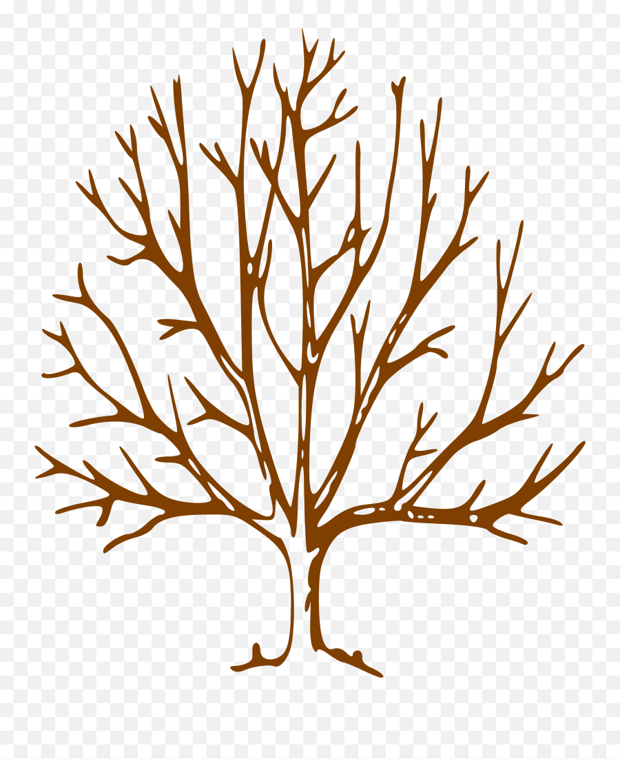 Simple Bare Tree Clipart Image Info - Tree With Bare Bare Tree Clipart Png,Tree Branch Transparent Background