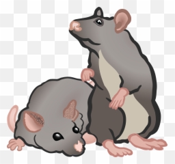 Rat Clipart Png 4 Image - Rats And Mice Clipart,Rats Png