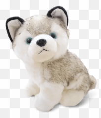 Siberian Husky Puppy Plush Huskies Unlimited Png
