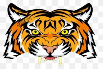 Blue - Tiger Face Drawing With Color png