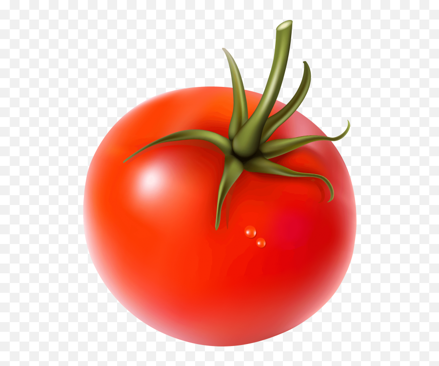 Tomato Png Clipart Picture - Search Png Fresh Tomato Hd Png,Tomato Slice Png