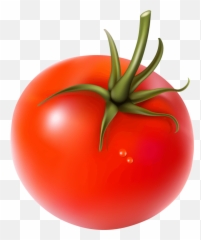 Tomato Png Clipart Picture - Search Png Fresh Tomato Hd Png,Tomato Slice Png
