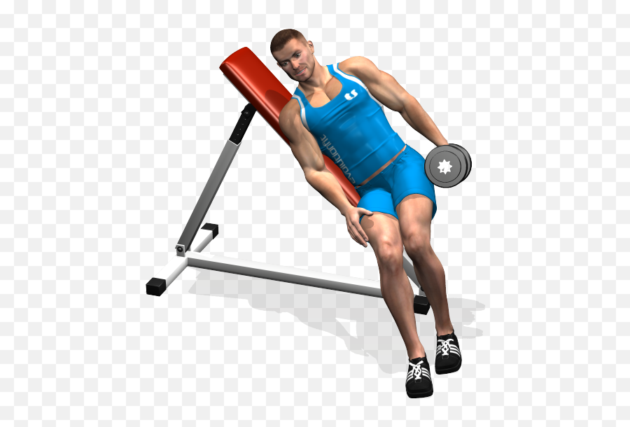 Muscle Arms Png - One Arm Incline Bench Lateral Raise One Arm Incline Lateral Raise,Muscle Arm Png