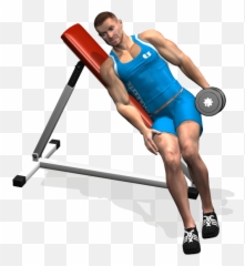 Muscle Arms Png - One Arm Incline Bench Lateral Raise