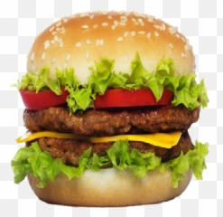 Itembeefcooked Nova Skin - Hamburger Img Png,Krabby Patty Png