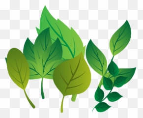 Leaf Vector Png - Hojas De Ramas
