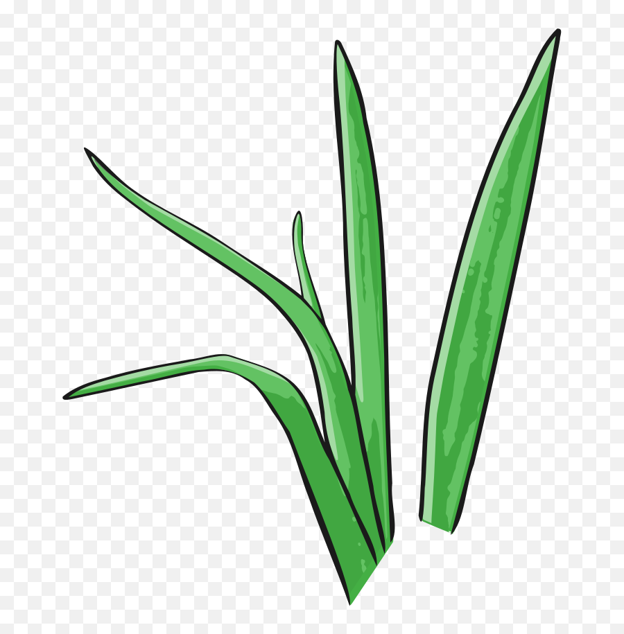 Grass Vector Royalty Free Clipart - Clip Art Png,Grass Vector Png