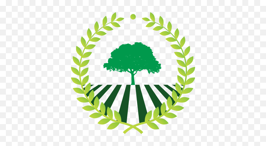 Make Own Green Tree Logo Free With Design Maker Png