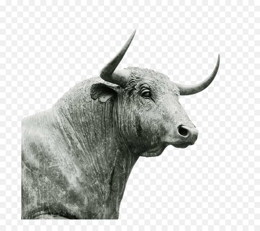 Bull In A China Shopu0027 U2013 U0027éléphant Dans Un Magasin De - Inkunzi Isematholeni Png,Bull Png