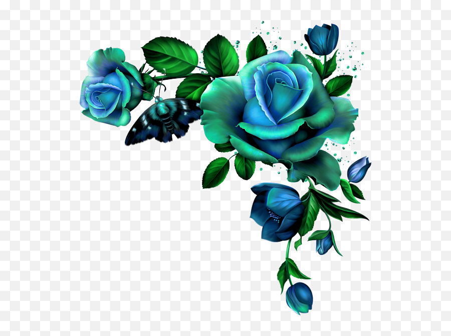 Download 0 D5aec B96f6af3 Orig - Blue Rose Flower Borders Blue Rose Flower Border Png,Rose Border Png