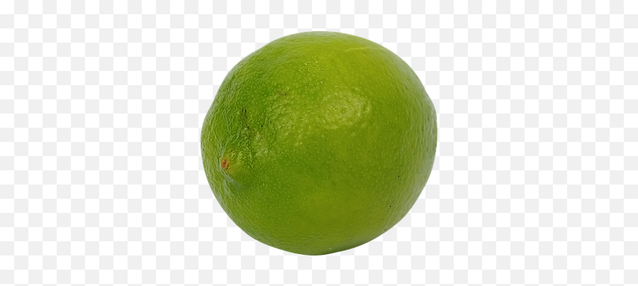 Lime Lemon Fruit - Free Photo On Pixabay Persian Lime Png,Lime Transparent Background