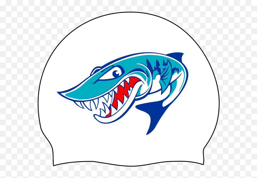 Home - Bethesda Barracudas Transparent Barracuda Fish Logo Png,Bethesda Logo Png