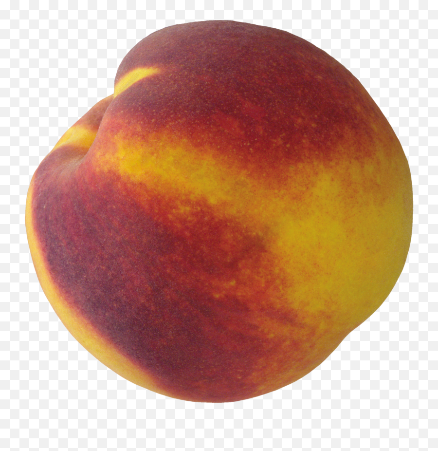 Download Peaches Png Image For Free - Portable Network Graphics,Peach Transparent Background