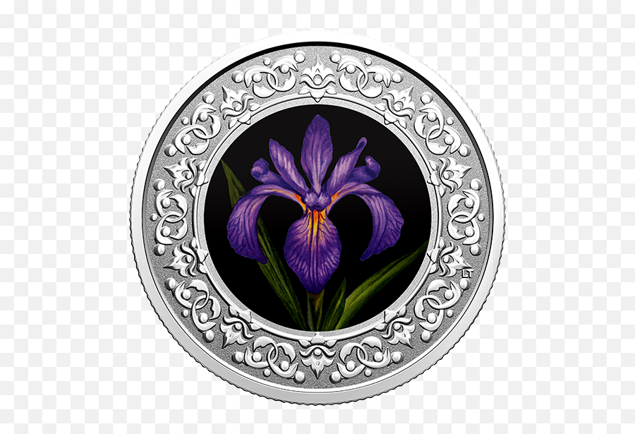 Pure Silver Coloured Coin U2013 Blue Flag Iris Floral Emblems Of - Royal Canadian Mint 2020 Floral Emblems Of Canada Png,Iris Flower Png