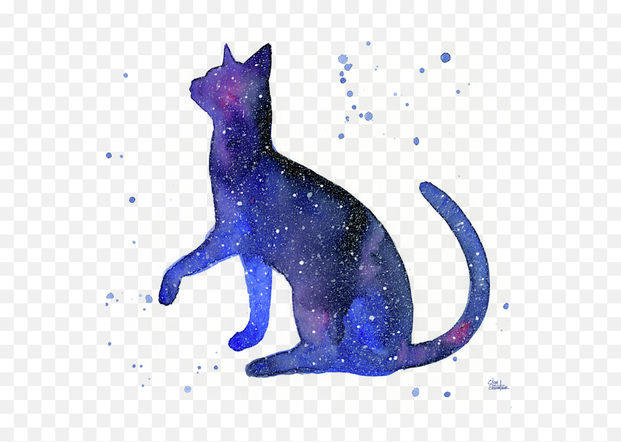 Galaxy Cat T - Shirt Galaxy Cat Png,Cat Transparent