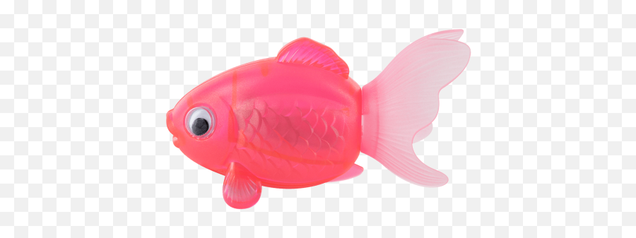 Pencil Sharpener - Coral Reef Fish Png,Goldfish Transparent