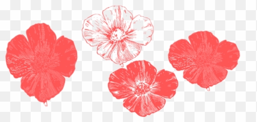 Peach Poppies Clip Art Transparent PNG