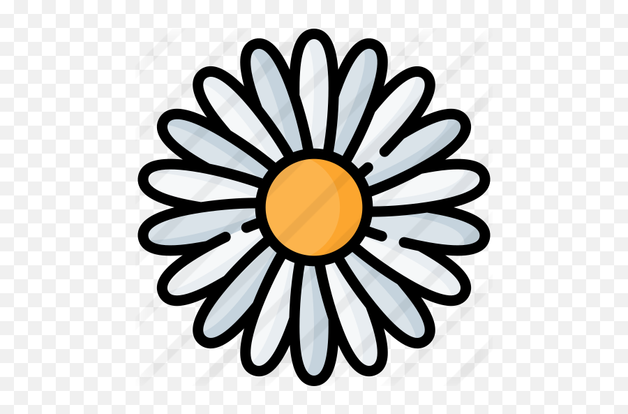 Flower - Daisy Outline Png,Daisy Icon