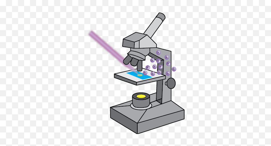 Microms - Petrographic Microscope Png,Python Script Icon