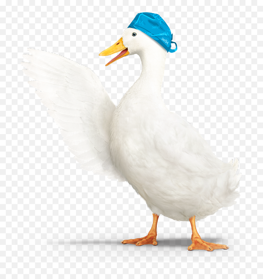 Aflac Duck Png Hd - Aflac Duck Png,Duck Png