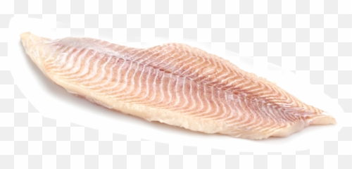 H U0026 N Group Wholesale Seafood - Fish Slice png
