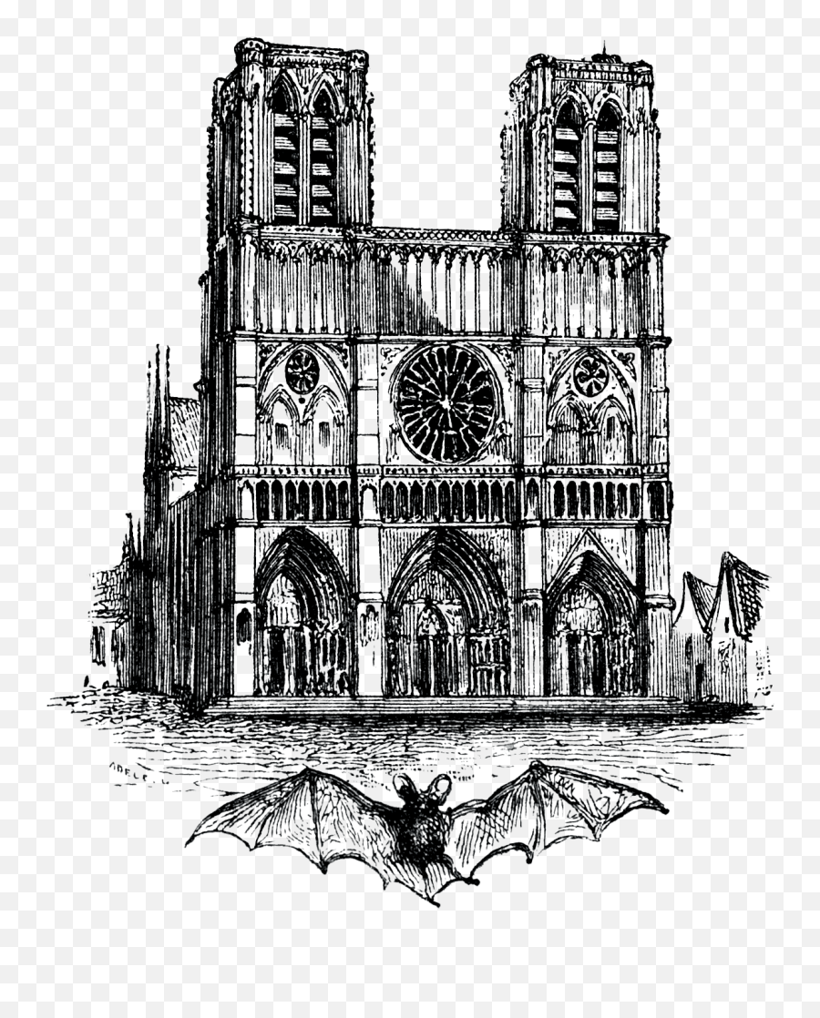 Notre Dame De Paris Sketch Transparent Png - Stickpng Notre Dame De Paris Sketches,Paris Png