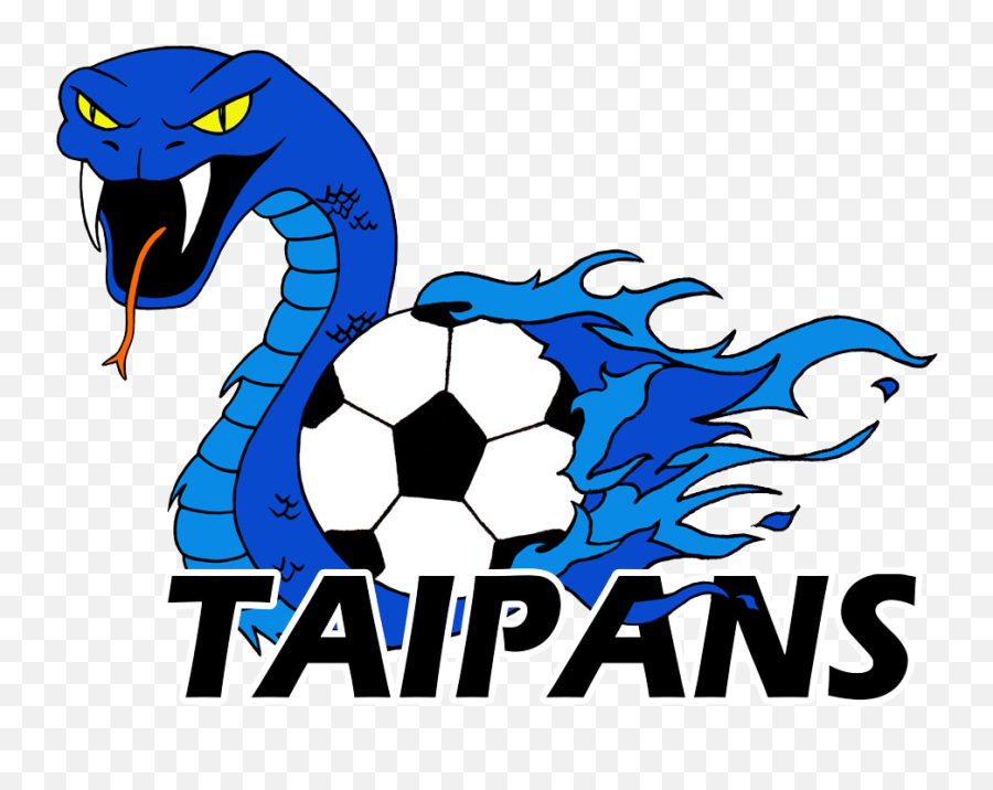 Clip Art - Clip Art Library Taipans Png,Mad Tv Icon