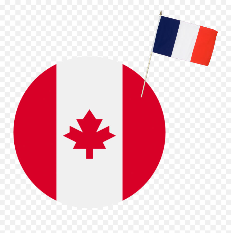 Custom Brain Training - Canada Icono Png,Texas Flag Icon