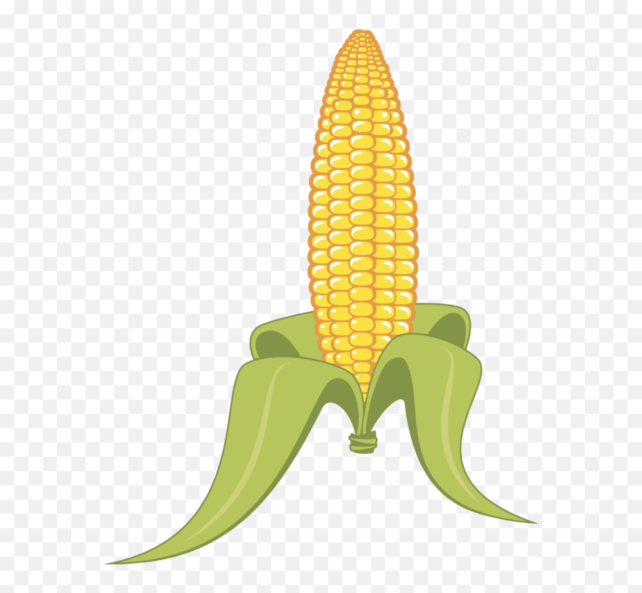 Corn Maize Transparent Png Clipart - Clipart Png Cob Corn,Corn Clipart Png