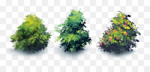 Bushes Png - Maple Leaf,Bushes Transparent