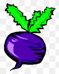 Download Banner Free Turnip Drawing Old - Eggplant Vegetable Png,Eggplant Png