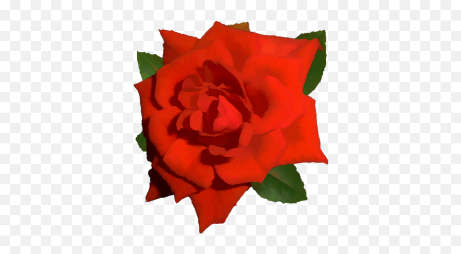 One Red Rose Png Transparent - Red Roses Png Single,Red Rose Png