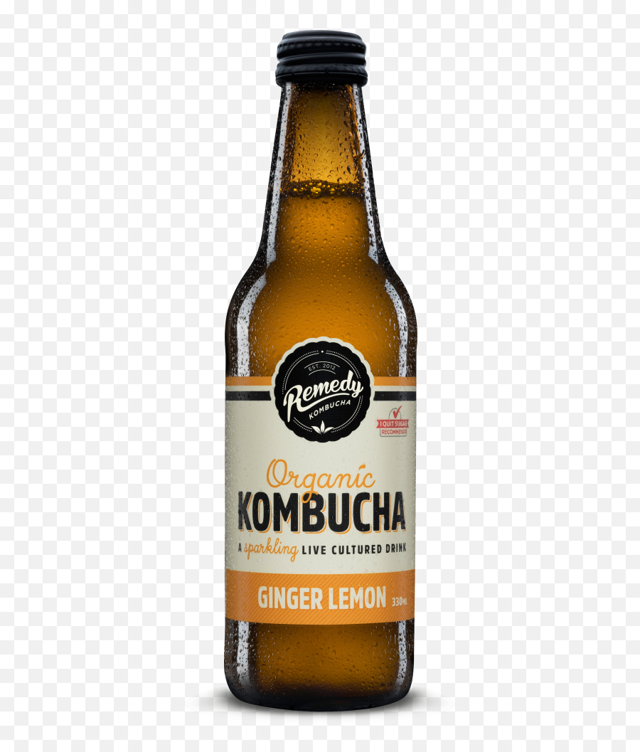 Suppliers - Remedy Kombucha Ginger Berry Png,Bayley Png