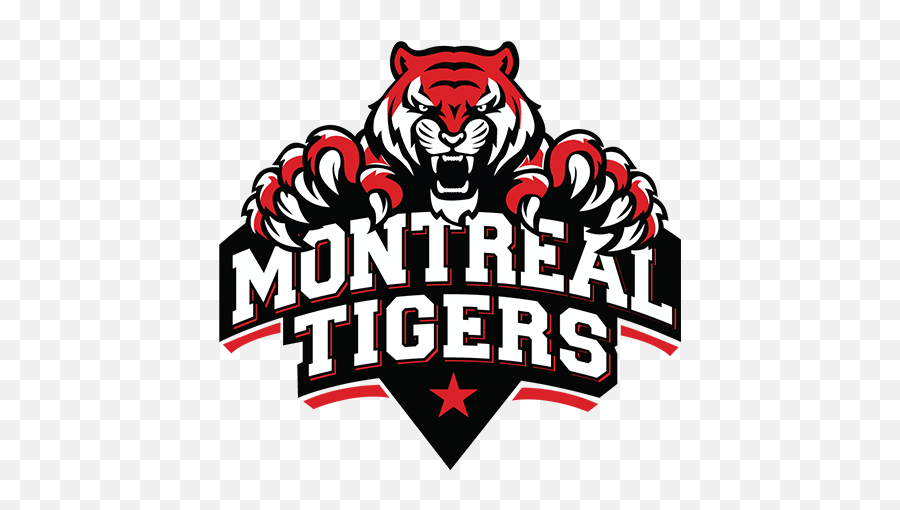 Get Ball By Commentary Of Edmonton Royals Vs Montreal - Montreal Tigers Cricket Team Png,Tigers Png