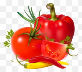 free transparent tomato clipart png images page 2 pngaaa com transparent tomato clipart png images