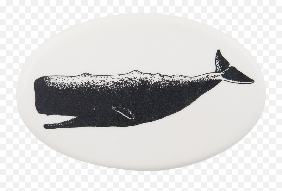 Sperm Png - Sperm Whale,Sperm Png