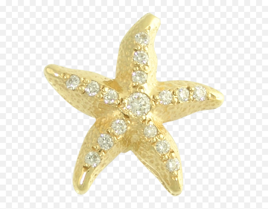 Sea Star Png High - Starfish,Sea Star Png