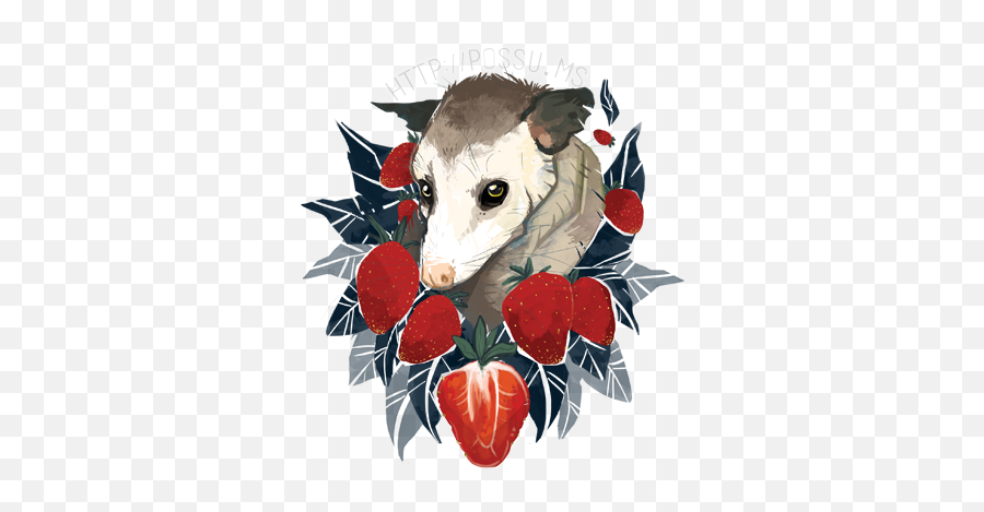 Pin - Strawberry Possum Png,Opossum Png
