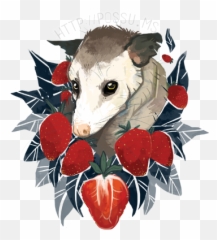 Pin - Strawberry Possum Png,Opossum Png