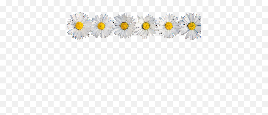 Daisy Flower Crown Tumblr Transparent - Daisy Flower Crown Png,Flower Crown Transparent
