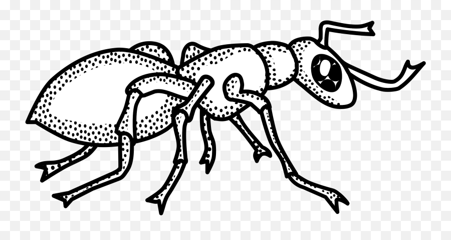 Jpg Freeuse Library Black And White Ant - Ant Black And White Png,Ants Png