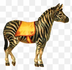 Zebra Circus Transparent Png - Clipart Vintage Circus Animals,Zebra Png